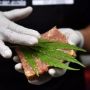 Rumah Sakit di Thailand Sajikan Ganja, Menunya Mulai Sup Hingga Gorengan