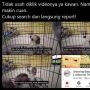 Kejam Banget! Youtuber Menyiksa Monyet, Diberi Saus sampai Keracunan