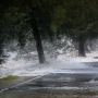 Potensi Tsunami Selatan Jawa, BPBD Banyuwangi Imbau Warga Pesisir Jangan Panik