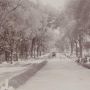Viral Potret Jadul Yogyakarta di Tahun 1910, Bagian Pohonnya Bikin Salfok