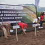 Petrokimia Gresik Tanam Jagung Perdananya di Lombok Timur NTB