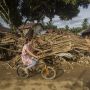 Greenpeace: Bukan Hujan, Izin Eksploitasi Hutan yang Sebabkan Banjir Kalsel