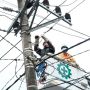 Cara Dapat Diskon Tarif Listrik Tanpa Perlu Buka www.pln.co.id