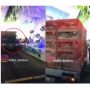 Kocak! Mobil Pick Up Angkut Ayam Terobos Masuk Kondangan Drive Thru