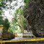Diguyur Hujan, Pohon Tua di Goa Selarong Ambruk