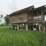 Amazing! Melongok Wisata 'Ndeso' Banyuwangi yang Lagi Ngehits Saat Ini