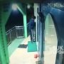 Gegara Mau Main Game Online, Pemuda Ini Bobol Kotak Amal Masjid