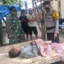 Kakek di Pemalang Tewas Disengat Tawon Vespa, Petugas Hitung 30 Serangan