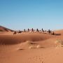 Fakta Menarik tentang Gurun Sahara, Wajib Diketahui