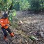 Penampakan Sampah 10 Ton di Sungai Sragen yang Nyaris Putuskan Jembatan!