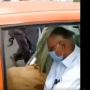 Potret Mobil "Pejabat" dengan Kearifan Lokal, Ruang Kemudi Jadi Sorotan