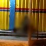Video Cabul Jember, Polisi Sebut Gisel dan Pasangan Alami Gangguan Jiwa