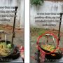 Ciptakan Robot Pembuat Chinese Food, Benda Ini Malah Bikin Publik Merinding