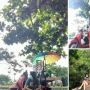 Penjual Kopi di Serangan Viral, Emak-emak Was-was Suami Mancing ke Sana