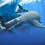 Mirip Kadal, Monster Laut Purba Ini Punya Gigi Setajam Gergaji