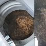 Viral Video Cuci Kacang di Mesin Cuci, Publik: Kalau Gue Udah Diomeli Emak
