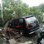 Waspada Hujan Angin di Kota Bogor Rawan Pohon Tumbang