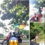 Viral Penjual Starling Seksi, Bikin Heboh Tukang Mancing di Pulau Serangan