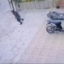 Cantik-cantik Nyolong, Aksi Gadis Curi Motor di Warnet Terekam CCTV