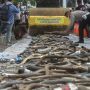 Ribuan Knalpot Brong Dimusnahkan Polisi