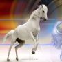 Tes Kepribadian: Pilih Kuda Poni atau Unicorn? Jawabannya Ungkap Isi Hati