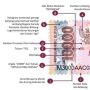 Ini Penampakan Materai Rp 10.000 yang Resmi Meluncur Kemarin