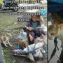 Viral Wanita Ikat Leher Kucing Pakai Tali, Ternyata Kisahnya Bikin Terharu