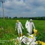 Manajemen Hotel Tangerang Jadi Tersangka Buang Limbah APD ke Sawah Tenjo