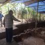 Jejak Pemukiman Masa Lalu Ditemukan di Dekat Candi Pawon