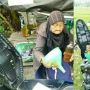 Potret Nenek Jual Bensin Eceran, Budiman Sudjatmiko Terenyuh: Cukup, Mbah