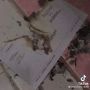 Ingin Viral dengan Bakar Buku Rapor, Siswa SMA Malah Dicemooh Warganet