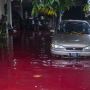 Heboh Banjir di Pekalongan Berwarna Merah Darah, Ternyata karena Ini