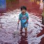Banjir Berwarna Merah di Pekalongan, Begini Penampakannya