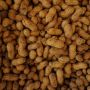 10 Manfaat Kacang Bagi Tubuh, Baik untuk Kesehatan Tulang dan Otak