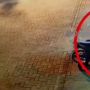 Viral Aksi Pencurian Motor di Masjid, Warganet: Malaikat Lepas Tangan
