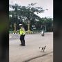 Bantu Kucing Menyeberang Jalan, Petugas Polisi Ini Banjir Pujian
