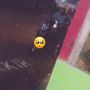 Tega! Ditinggal Cowok Pas Bensin Habis, Cewek Ini Hujan-hujan Dorong Motor