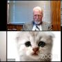 Seorang Pengacara di AS Tak Sengaja Pakai Filter Kucing saat Sidang Online
