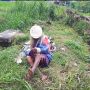 Viral Nenek 70 Tahun Tega 'Dibuang' Pemobil di Jalan, Warganet Geram