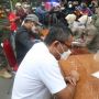 Tiga Pengendara Moge Langgar Ganji-genap di Kota Bogor Diberi Sanksi