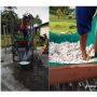 Viral! Pembuatan Minyak Kelapa Diinjak Pakai Kaki, Tuai Perdebatan Publik!