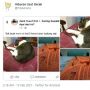 Sering Ditiduri Kucing, Majikan Pasang Ranjau di Tudung Saji Bikin Ngakak