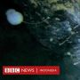 Makhluk Aneh, Kehidupan Tak Terduga di Antartika