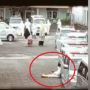 Viral Puluhan Mobil Ambulans Luber Di Pesantren, Jemput Pasien Covid-19