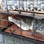 Pemelihara Ditangkap, BKSDA Rehabilitasi Satwa Dilindungi ke Tempat Ini