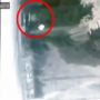 CCTV, Detik-detik Anjing Kejar Bayangan Mirip Pocong Viral di Medsos