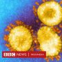 Varian Baru Virus Corona Ditemukan Lagi di Inggris, 38 Kasus Telah Muncul