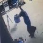 Pecinta Hewan Bawa Pelaku Pembantaian Kucing di Batam ke Ranah Hukum