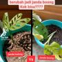 Viral Kisah Maling Kocak, Ganti Janda Bolong dengan Janda Boong