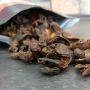 Ternyata Kulit Buah Kopi Bisa Atasi Diabetes dan Kanker